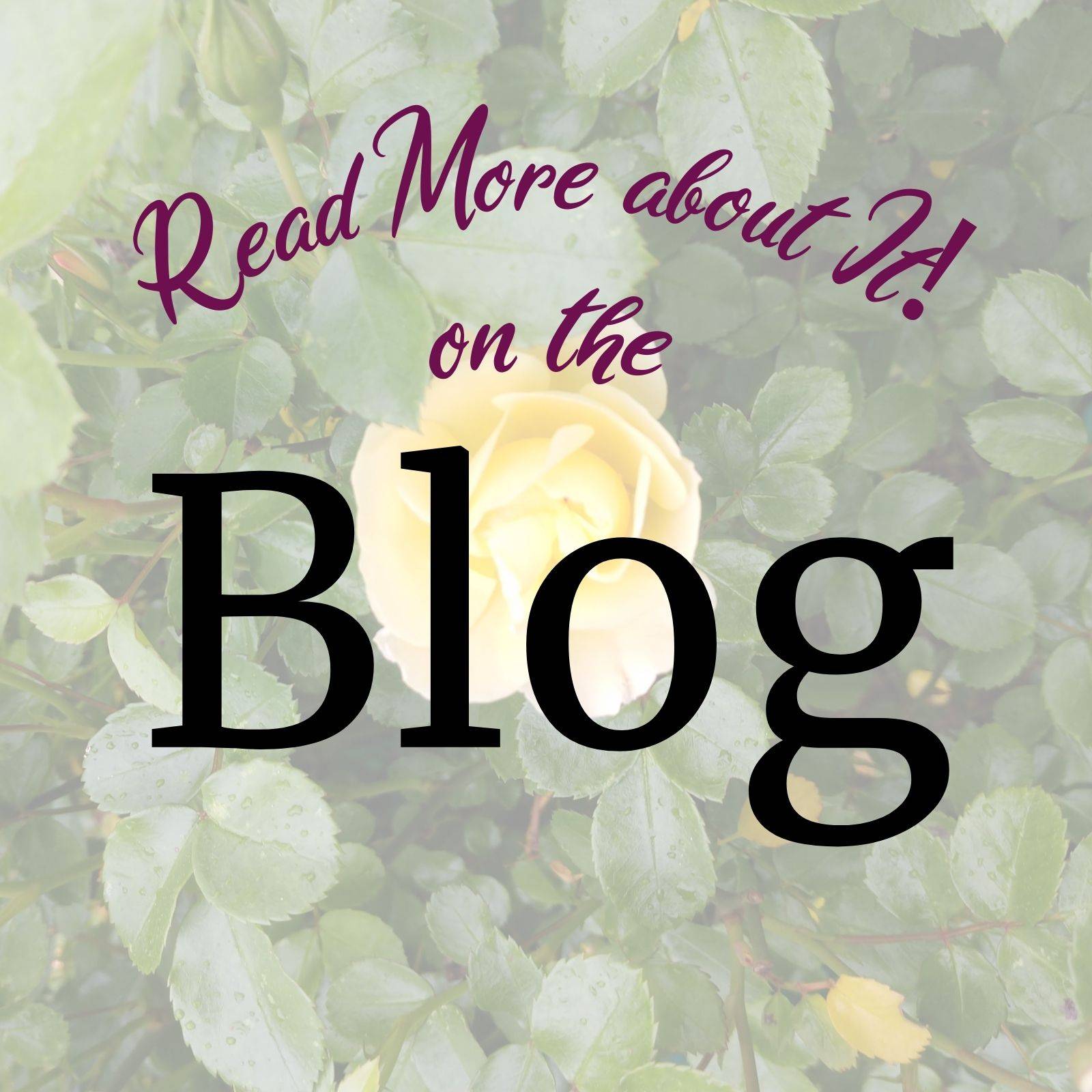 Square image that says "Read more about it on the Blog" links to the Blog page